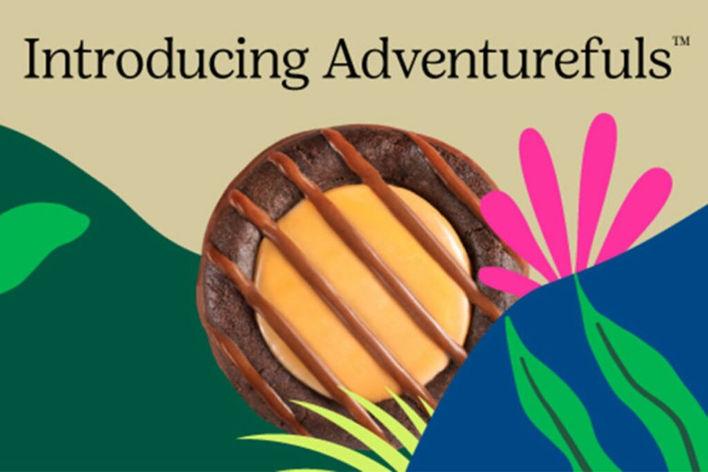 Black text reads, "introducing Adventurefuls," above a chocolatey cookie peeking out from jungle illustrations.