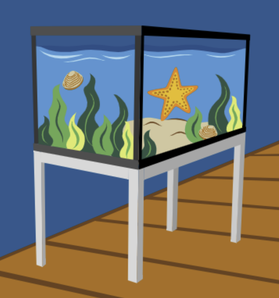 An illustration of Girl Scout Camp Robbinswold's marine touch tank.